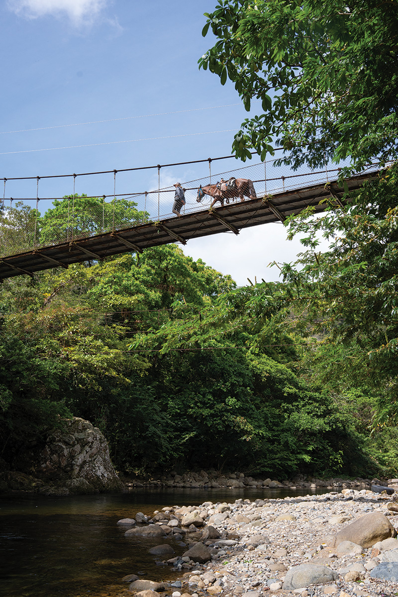 Crossing a hanging bridge on a trail ride in Panama.