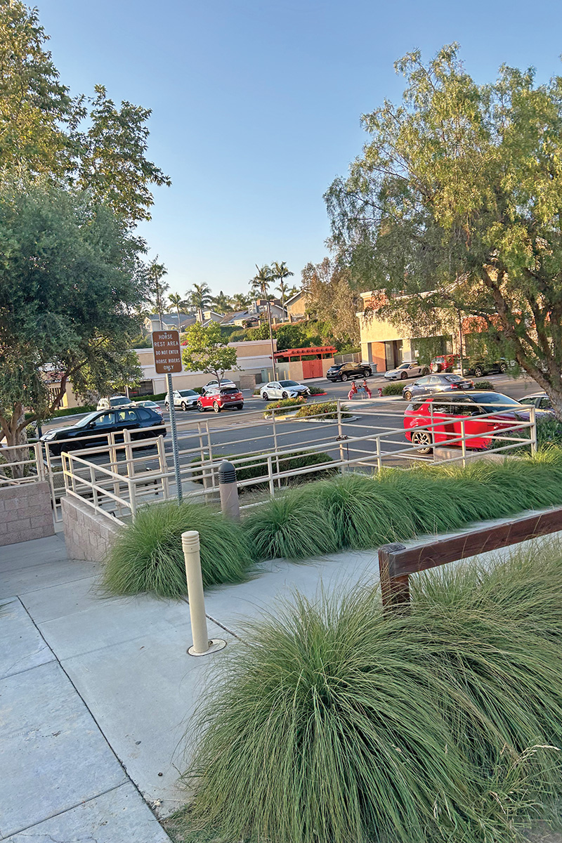 An equine rest area set up within a shopping center.