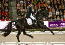 2022 FEI World Championships – Day 5 charlotte fry