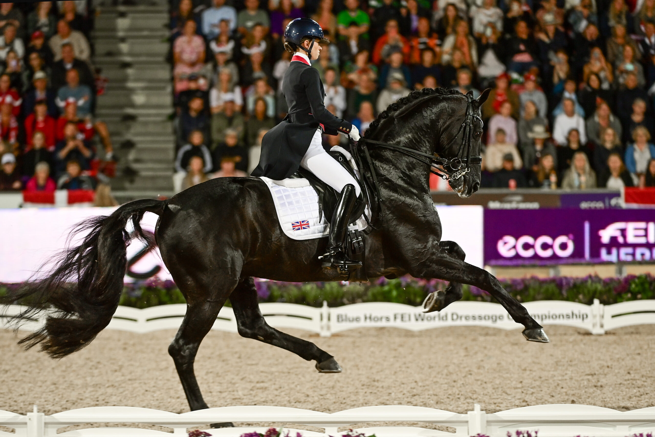 2022 FEI World Championships – Day 5