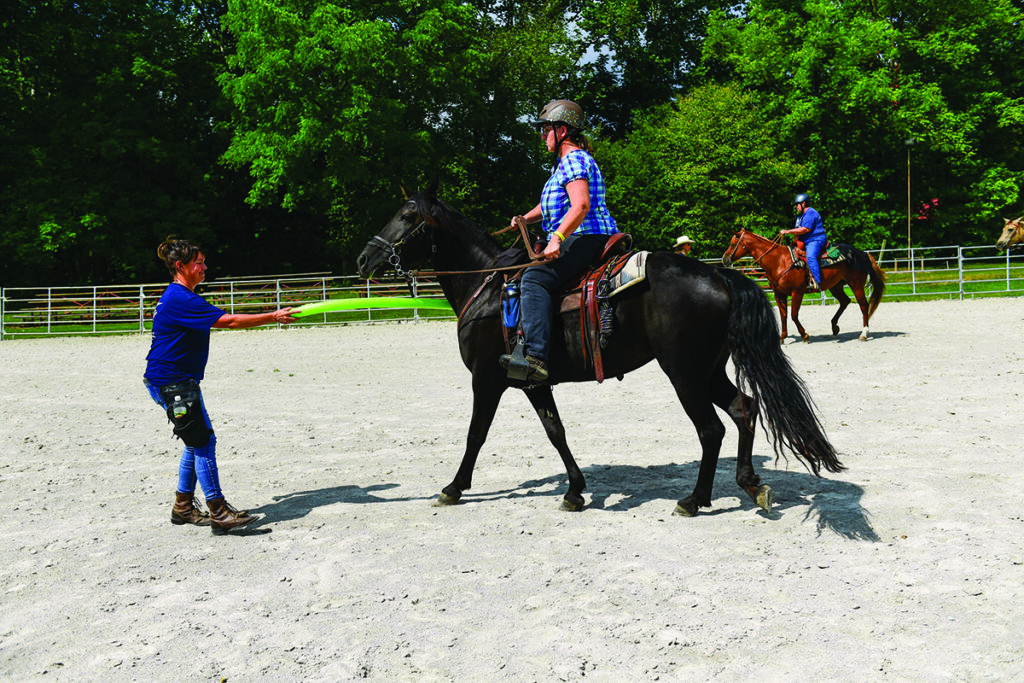 equestrian self-defense