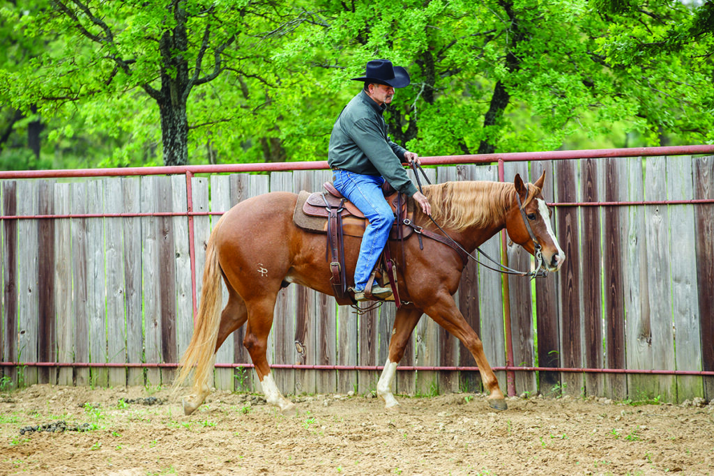 ranch riding downward transitions