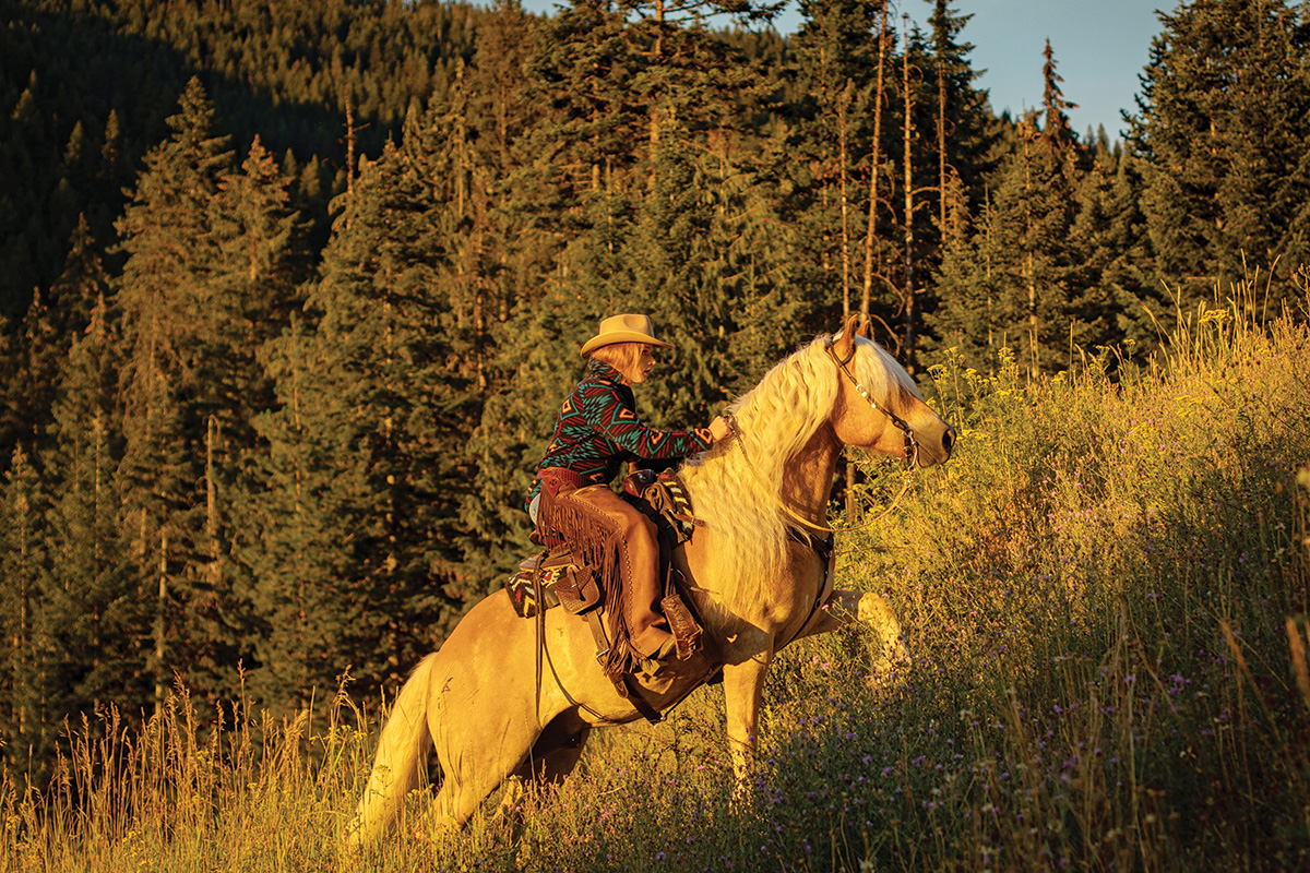 A Haflinger on a trail ride.