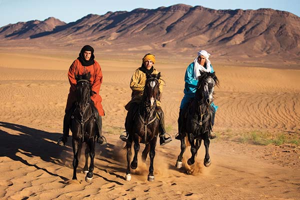 horses of Morocco