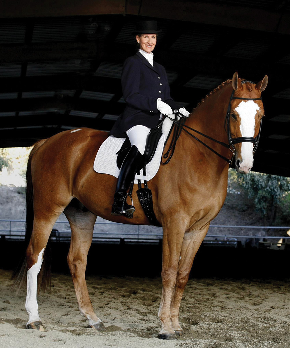 A para dressage rider on her chestnut gelding