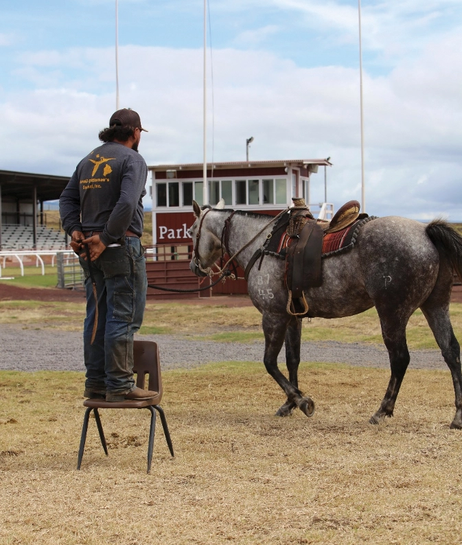 A paniolo works with a horse.