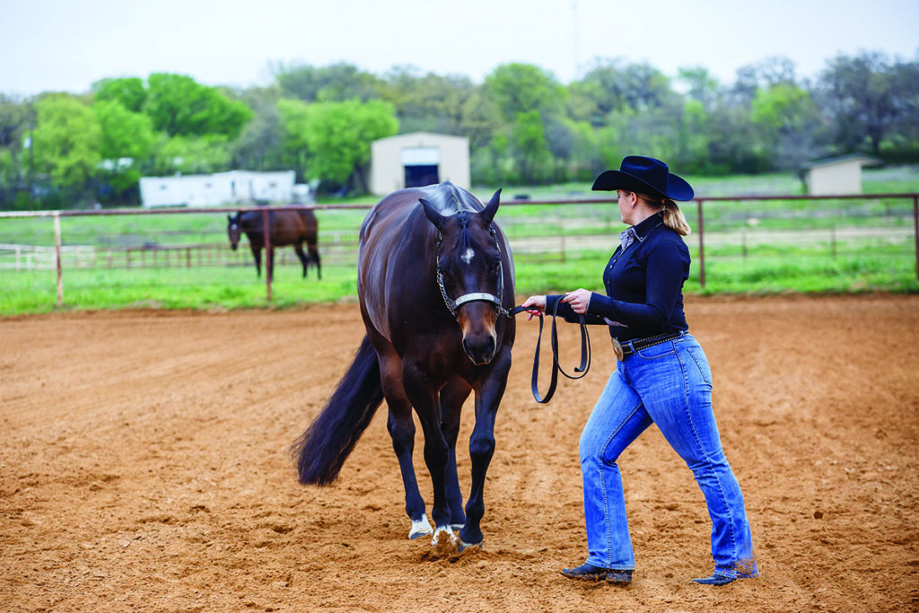 horse pivoting