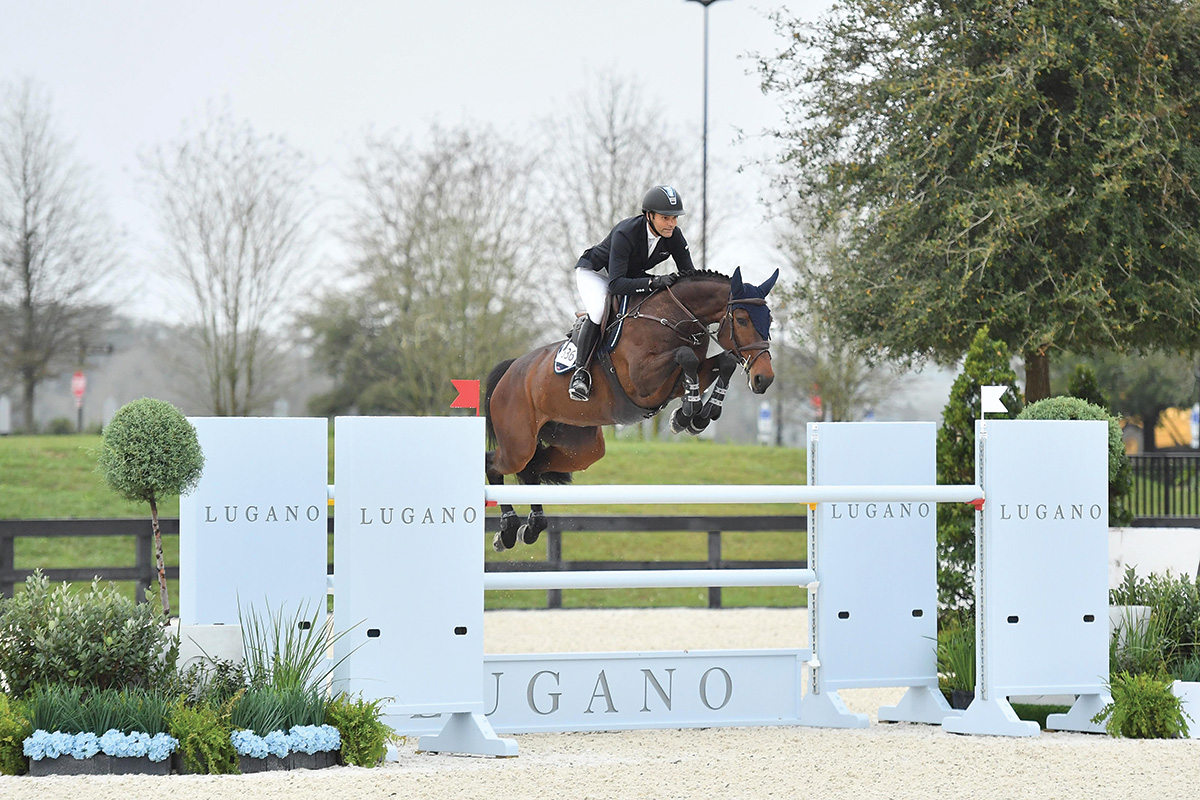 A horse and rider go over a jump