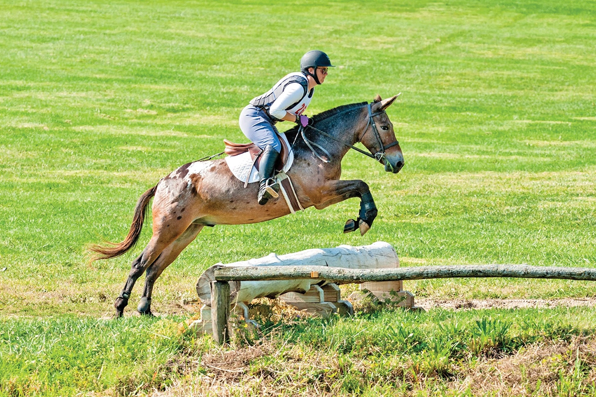 Alan A Day’s Work jumping on the cross-country course.