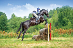 Equestrian Goal Setting