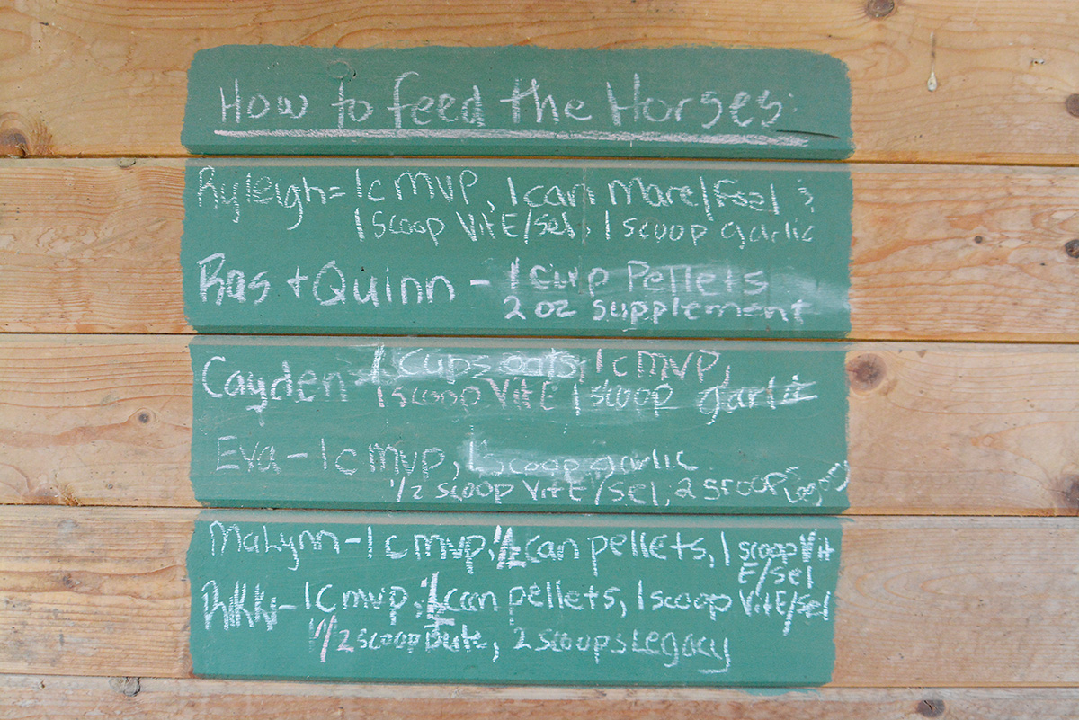 A chalkboard at a barn with feeding instructions