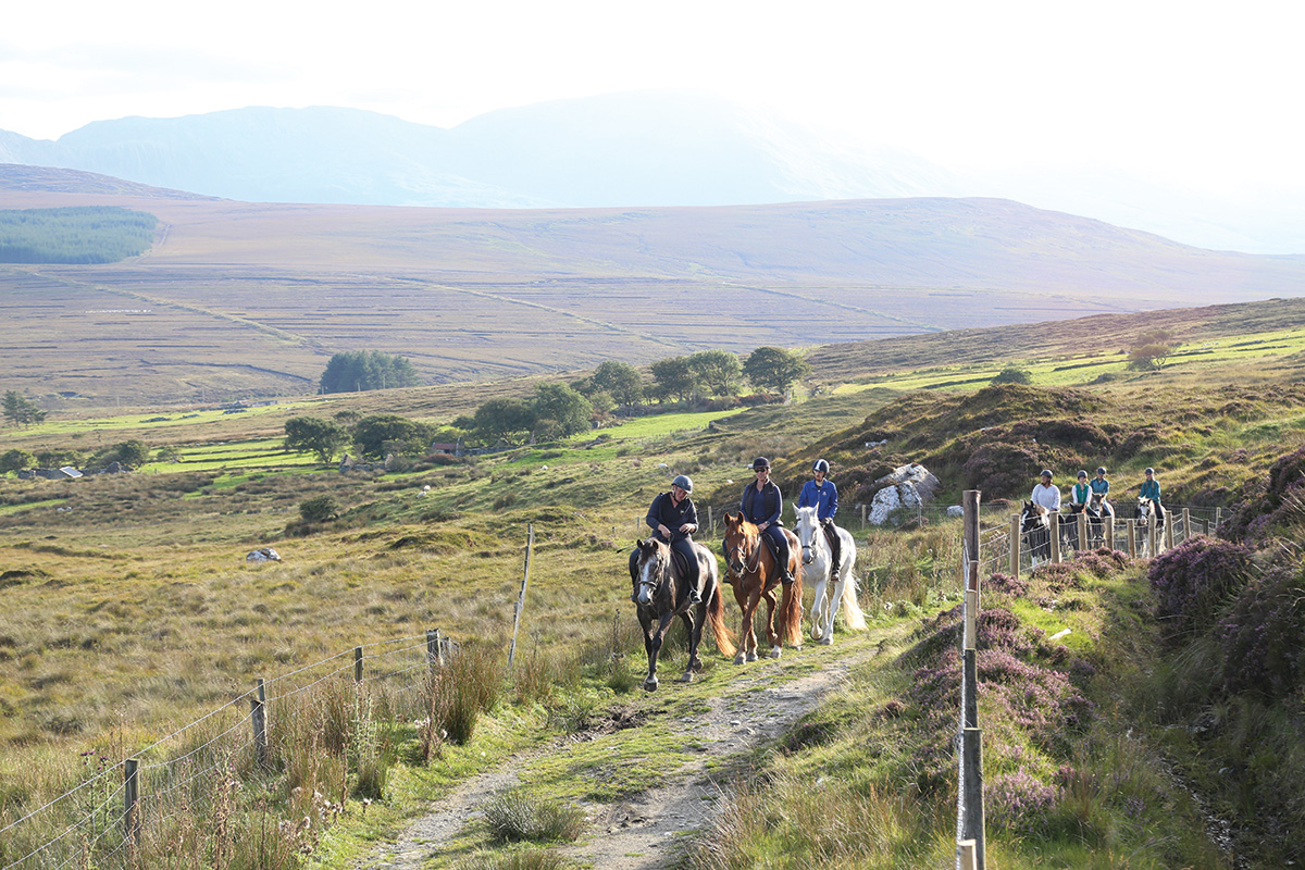Horseback riding in Ireland on holiday.