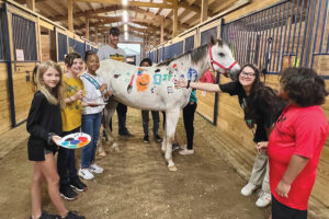 Nexus Equine: Taking Horse Adoption to the Next Level