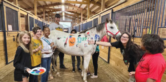 A community group poses with a horse they've painted as an activity at Nexus Equine
