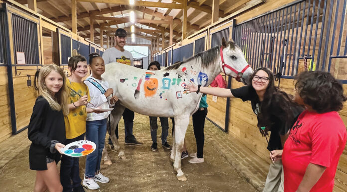 A community group poses with a horse they've painted as an activity at Nexus Equine