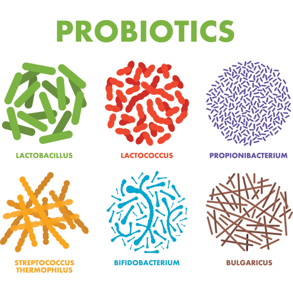 equine microbiome