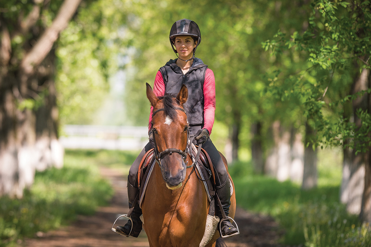 An equestrian trail riding on a bay horse