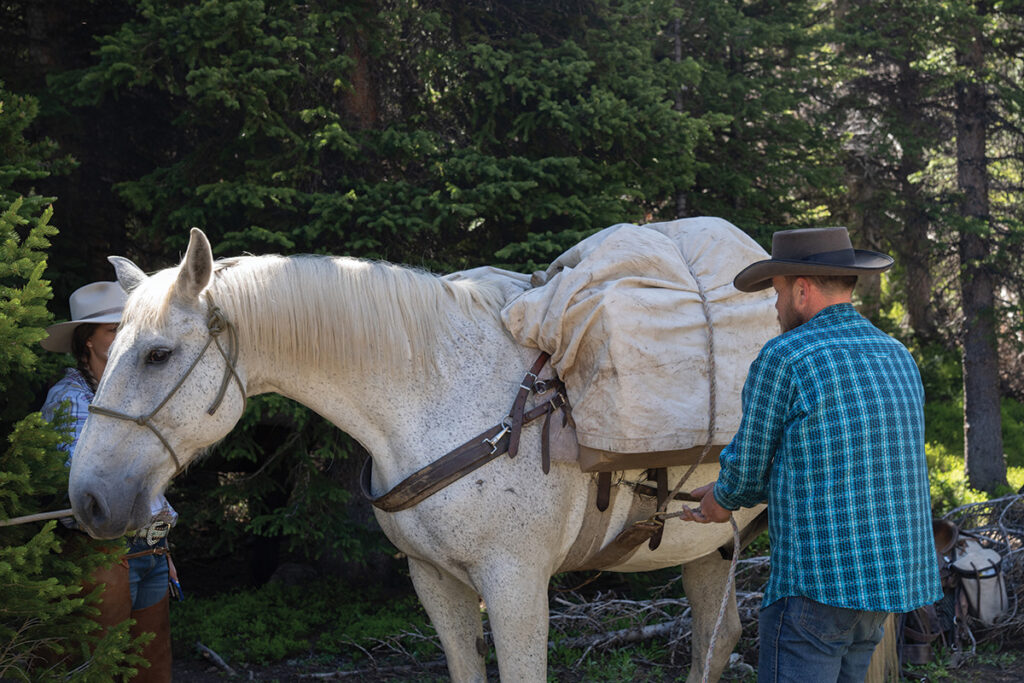 Pack Rides A Pack Ride in Wyoming - Horse Illustrated