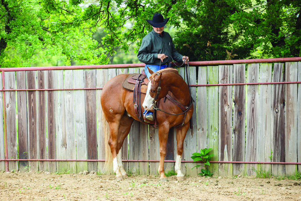 ranch riding downward transitions