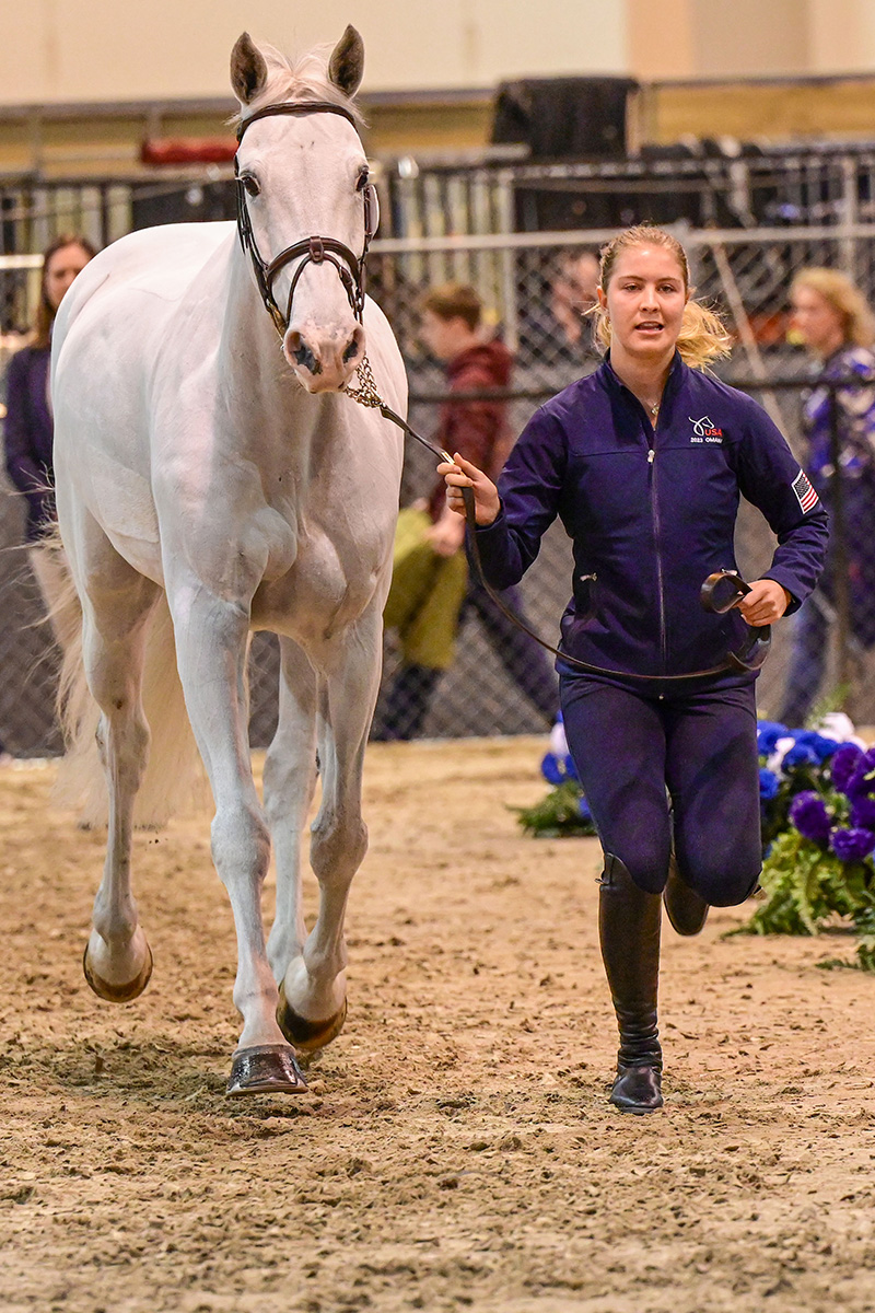 The jumping inspection at the 2023 FEI World Cup Finals