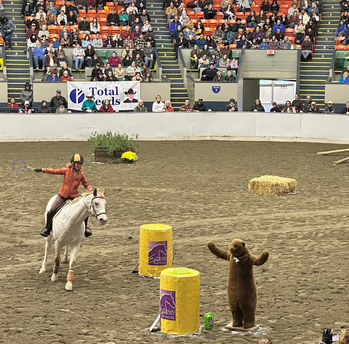 Bubbles and a bear make for an interesting combination at an obstacle station during the Versatile Horse & Rider Competition.