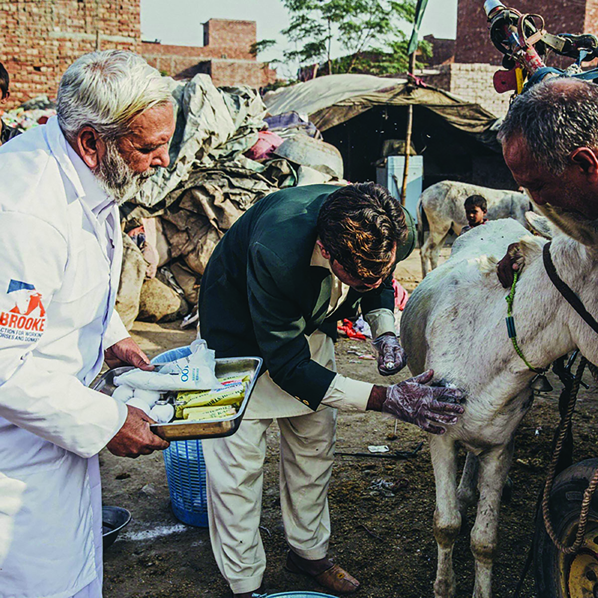 Brooke USA: Welfare for Working Horses