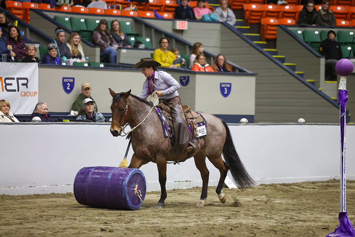 Versatile horse and rider competition at Equine Affaire