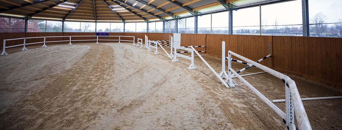 A horse jumping arena