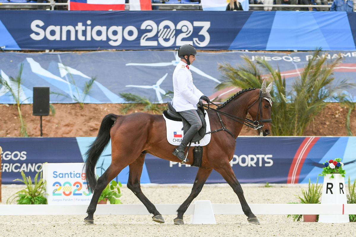 Dressage in Santiago