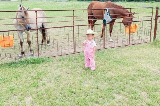 A baby interacts with horses at the barn