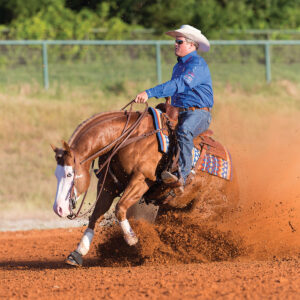 Master Sliding Stops in Reining