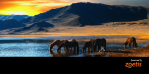 AHP Equine Industry Survey Returns in 2025