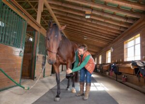 Be Your Horse’s Joint Health Champion