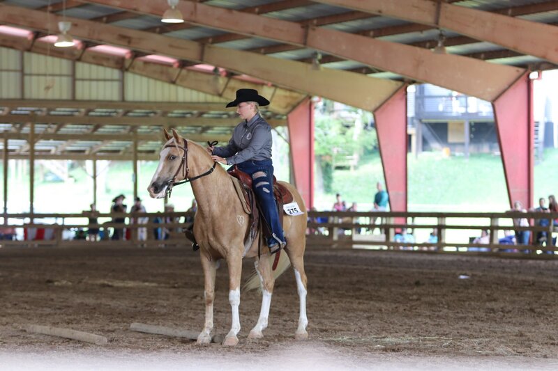 A palomino in a western competition