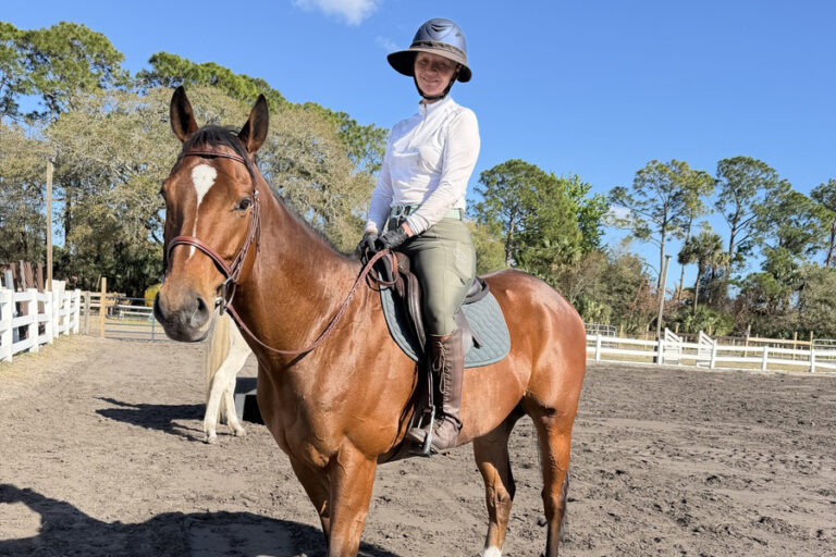 ASPCA Right Horse Adoptable Horse of the Week: Lil Bit Sideways