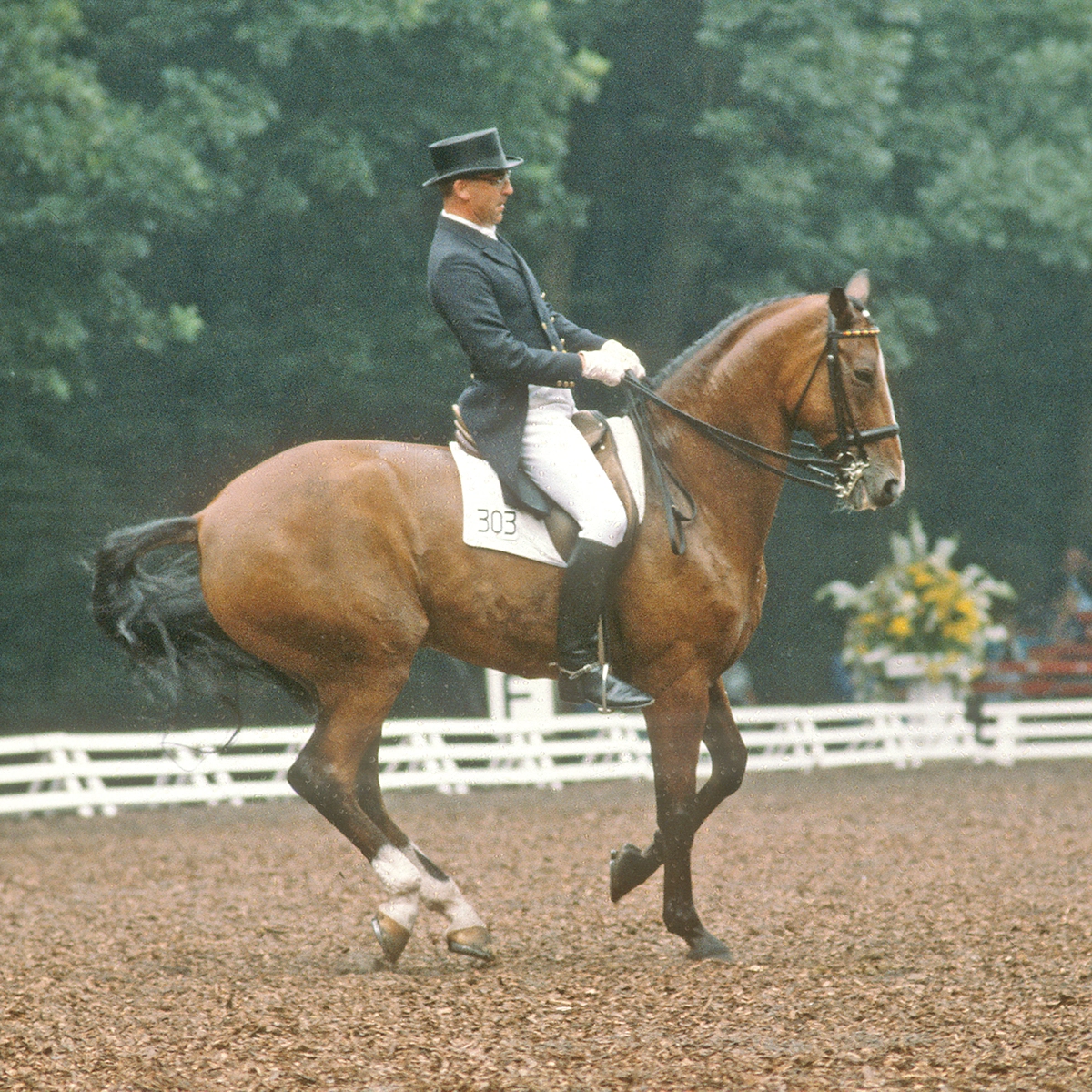 Ahlerich, one of the featured most unforgettable horses.
