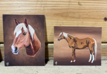 Art by Willow – Custom Embellished Horse Prints.