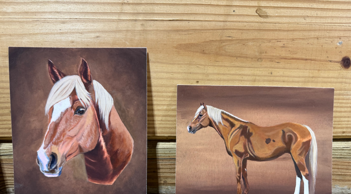 Art by Willow – Custom Embellished Horse Prints.