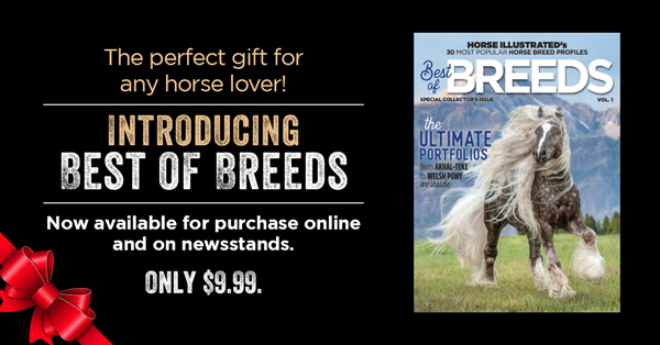 Best of Breeds Ad for Poll Page