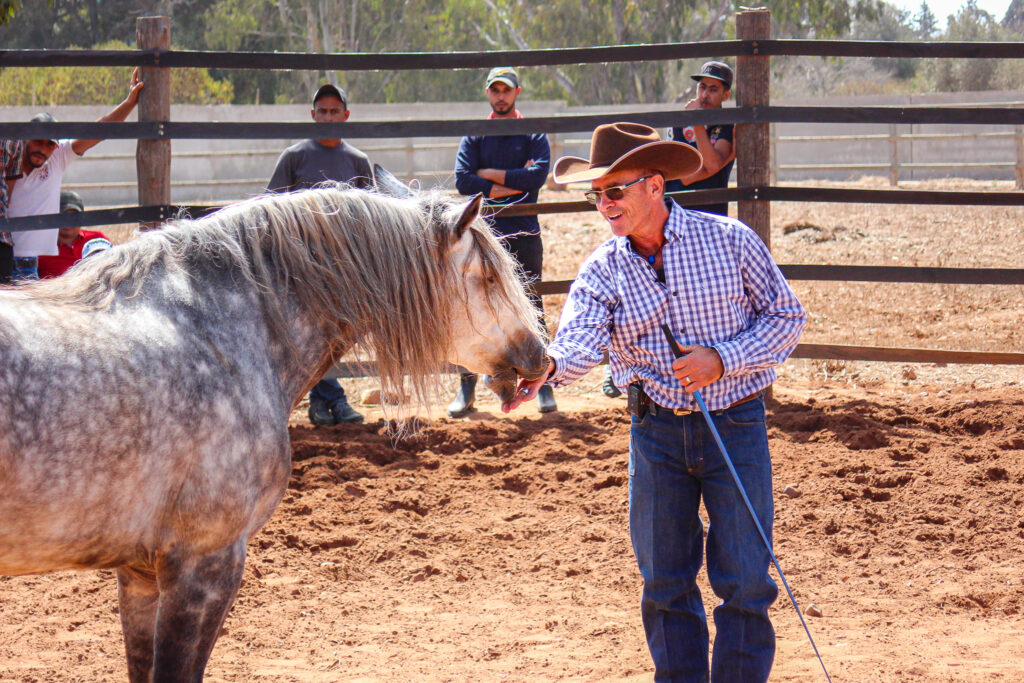 listening to the horse