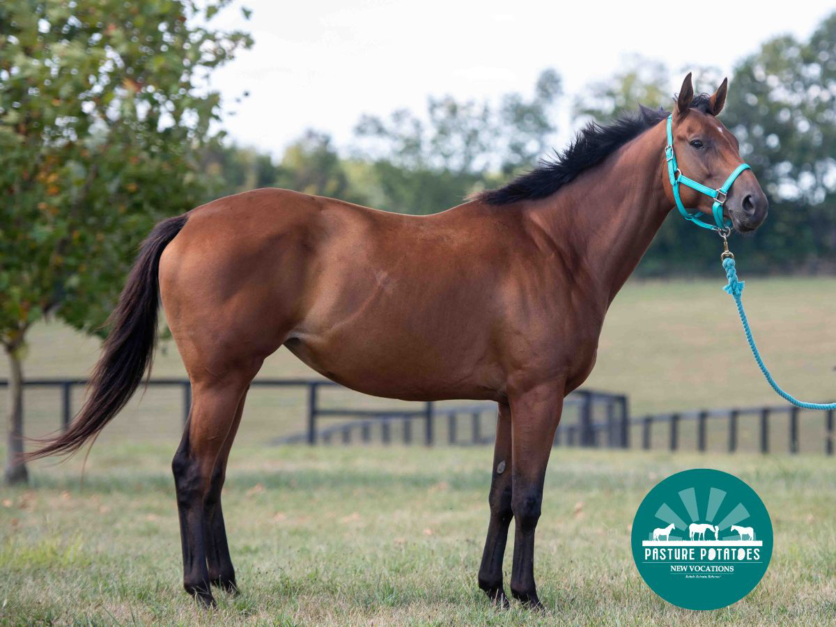 Dennison Girls AKA Denise.