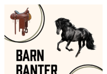 Barn Banter Podcast - Horse Illustrated