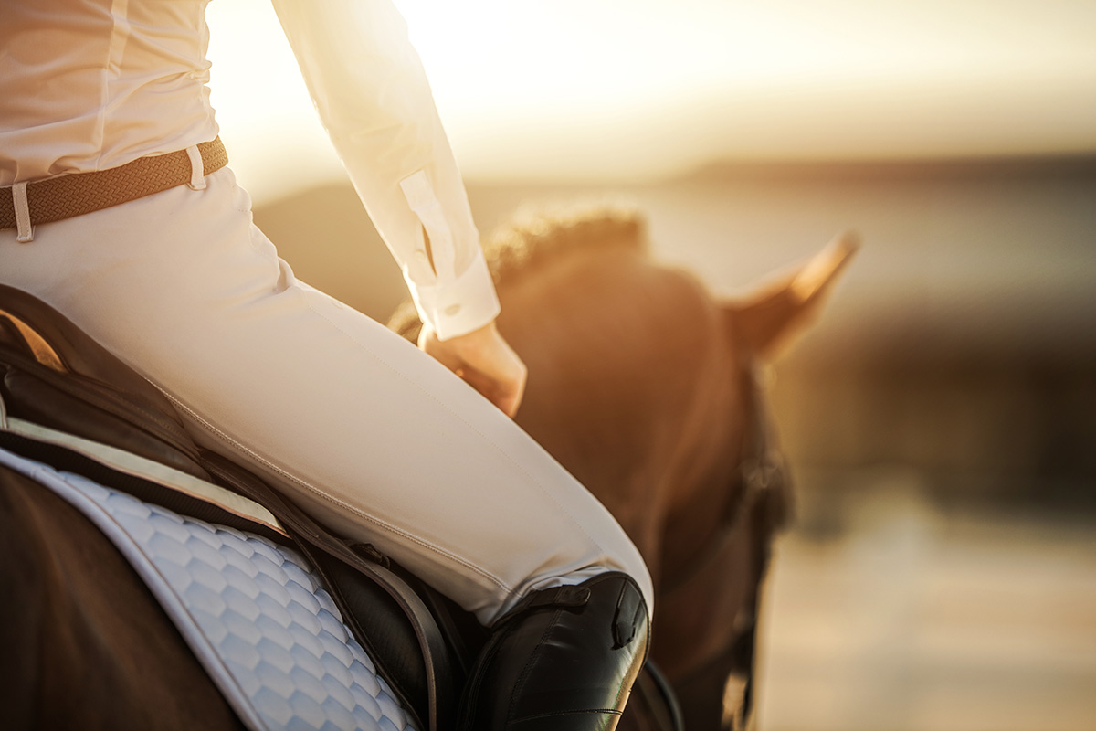 Close-up of rider on horse