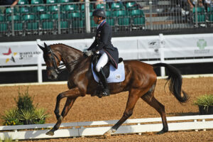 Maryland 5* At Fair Hill Three-Day Event Preview