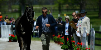 Boyd Martin at the First Horse Inspection at Land Rover Kentucky Three-Day