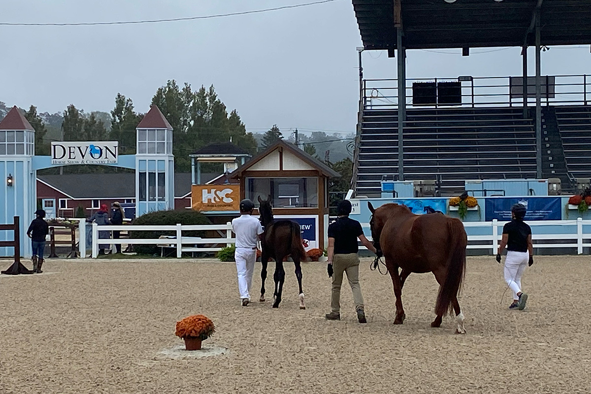 A class at the Dressage at Devon horse show