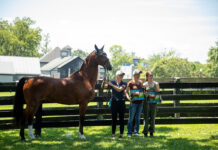 BreyerFest fans at the Kentucky Horse Park