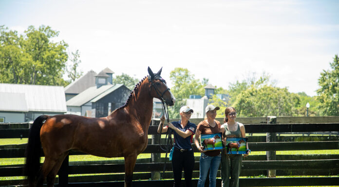 BreyerFest fans at the Kentucky Horse Park