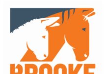 Brooke USA Launches Fire Horses Emergency Campaign Supporting Equines Affected by California Wildfires brooke usa foundation logo
