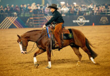 The American Performance Horseman Shines Spotlight on Western Performance Sports